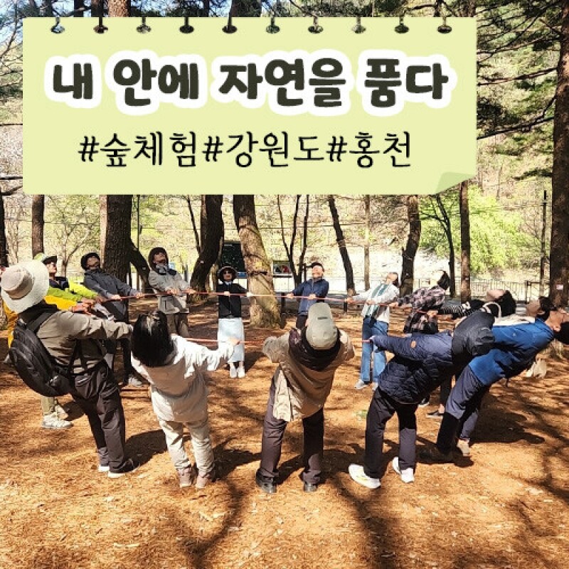 약리원,[내 안에 자연을 품다] 숲체험ㅣ강원도ㅣ홍천군