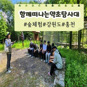 [함께 떠나는 약초탐사대] 숲체험ㅣ강원도ㅣ홍천군