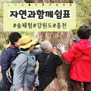 [자연과 함께 쉼표] 숲체험ㅣ강원도ㅣ홍천군