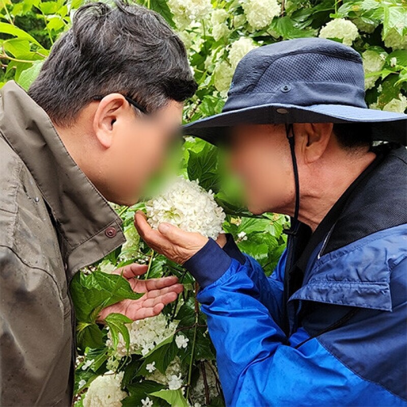약리원,[로컬 특가세일][내 안에 자연을 품다] 숲체험ㅣ강원도ㅣ홍천군