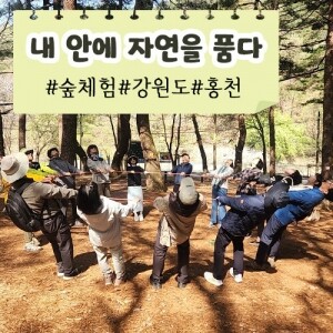 [로컬 특가세일][내 안에 자연을 품다] 숲체험ㅣ강원도ㅣ홍천군