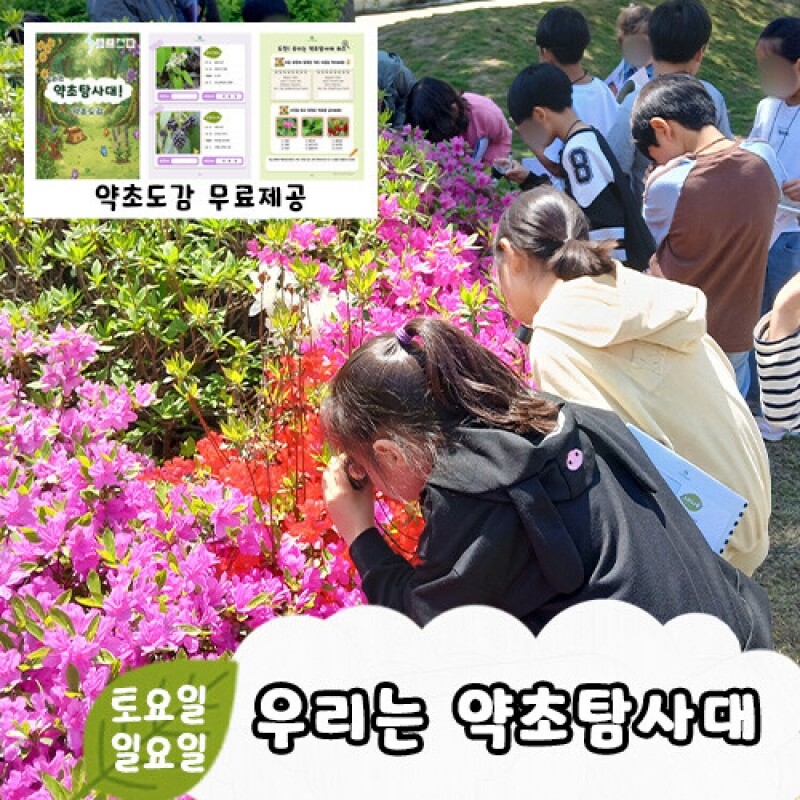 약리원,[우리는 약초탐사대] 숲체험ㅣ강원도ㅣ홍천군ㅣ공작산생태숲