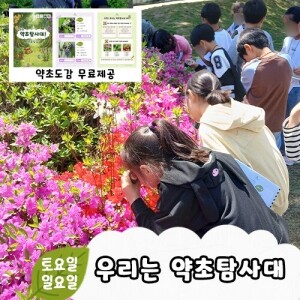 [우리는 약초탐사대] 숲체험ㅣ강원도ㅣ홍천군ㅣ공작산생태숲