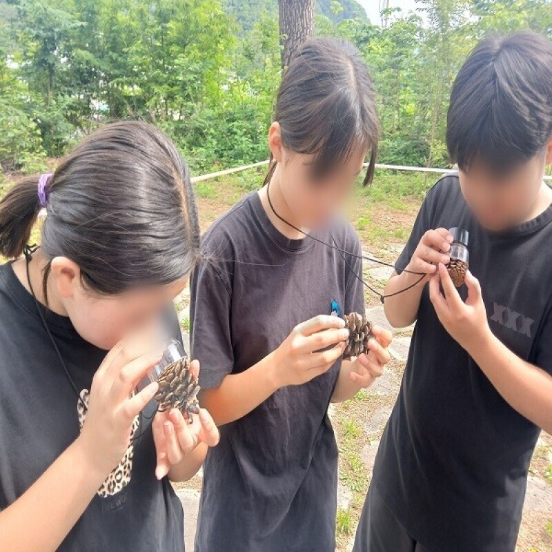 약리원,[우리는 약초탐사대] 숲체험ㅣ강원도ㅣ홍천군ㅣ공작산생태숲